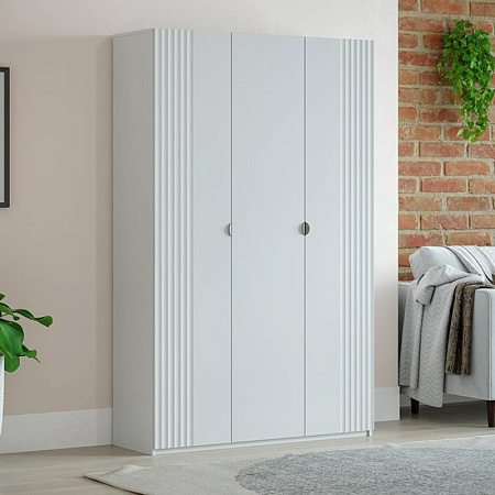 Распашной шкаф SR 22.3