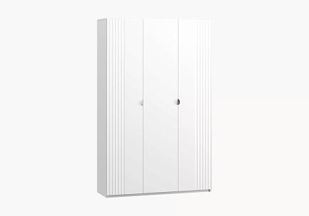 Распашной шкаф SR 22.3