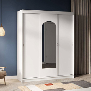 Шкаф-купе SK 26.3